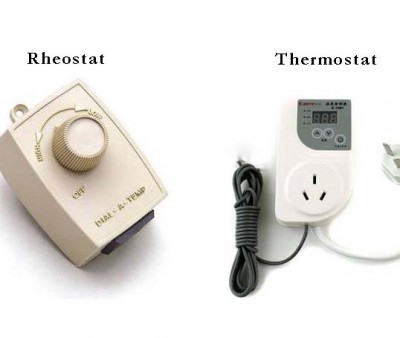 thermostat controlled heat lamp